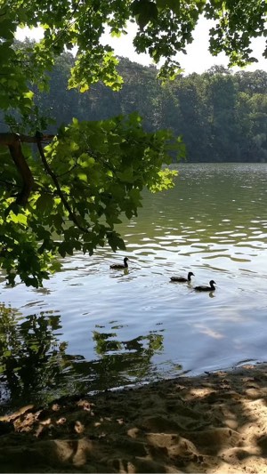 See/Freibad Treffen Berlin – Outdoor-Events in Berlin