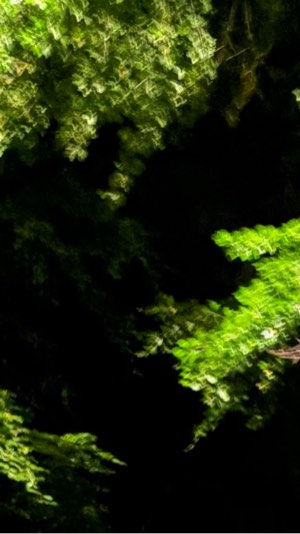 Sommer 26 – Outdoor-Events in Aachen