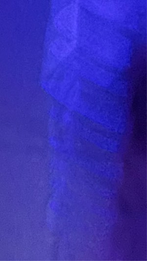 Suche eine Halloween hausi – Party & Nightlife in Nürnberg