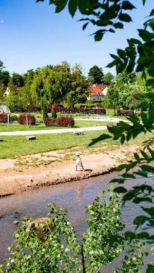 Freunde finden – Outdoor-Events in Frankfurt am Main