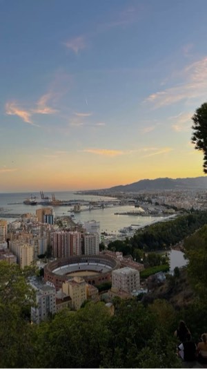 Suchen Braschkis in Malaga 4-16. Oktober – Party & Nightlife in Frankfurt am Main