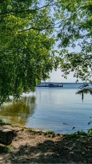 Picknick & Drinks am Müggelsee – Outdoor-Events in Berlin