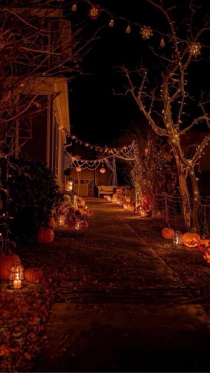 SUCHE EINE HALLOWEEN PARTY  in PADERBORN!! – Party & Nightlife in Bielefeld
