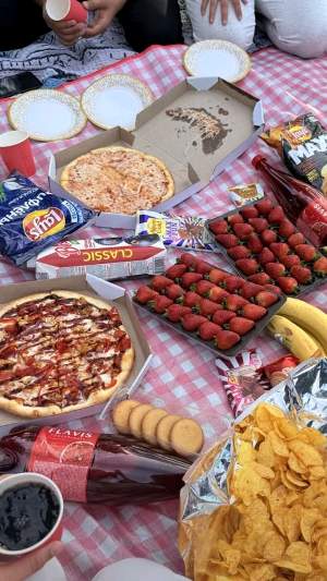 Picknick🌷 – Outdoor-Events in Dresden
